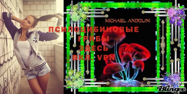 молекула духа Шарыпово