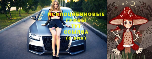 ECSTASY Каменск-Шахтинский